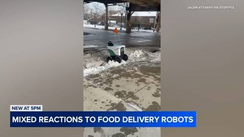 Thousands sign petition to pause robot deliveries, provide more safety data after alleged crashes, obstructions in Chicago