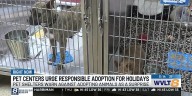 Knoxville pet shelters urge against irresponsible adoption of animals for holiday gifts