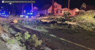 67-year-old man seriously injured after tree falls on car while driving in Framingham