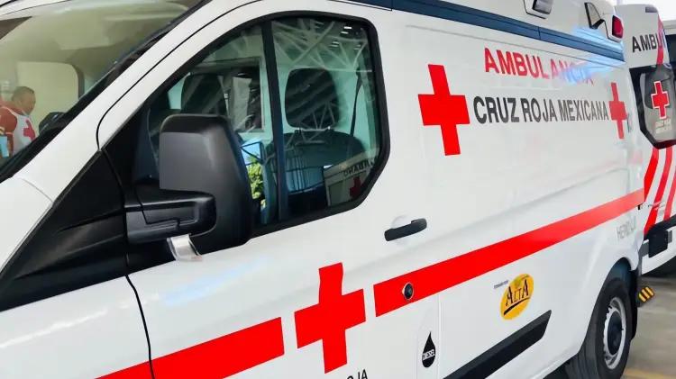 Aumentan ataques de perros en Nogales; dos personas heridas en 48 horas