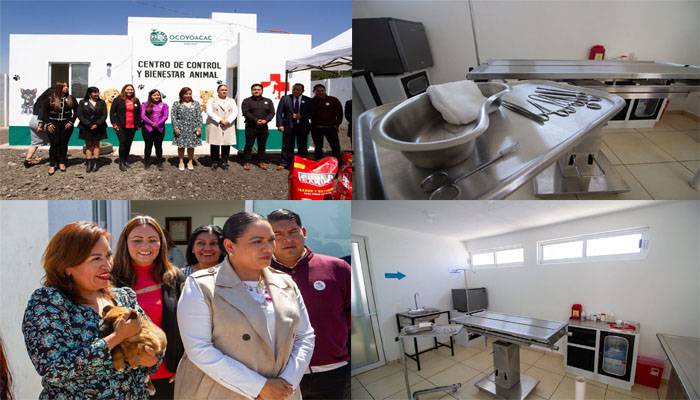 Ocoyoacac impulsa el bienestar animal con resultados históricos en el primer año de gobierno