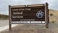 San Diego County Animal Services facing audit