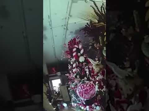 Chaotic video shows cops frantically rescue deer that went buck wild in Christmas store #shorts