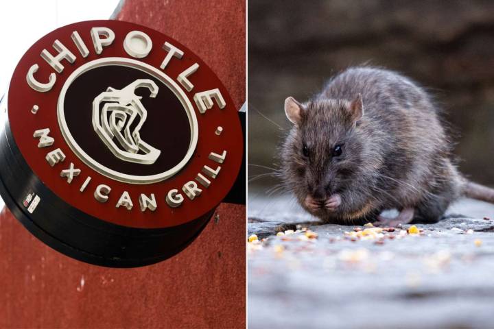Chipotle Responds to NYC Woman Who Allegedly ‘Bit into a Rodent’ in Burrito Bowl