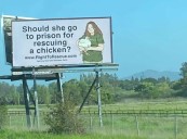 Prosecutors seek 180-day jail term for Bay Area activist Zoe Rosenberg in Petaluma Poultry case