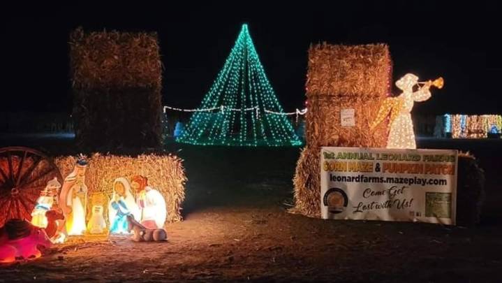 Leonard Family Farm invites public to 'get lit' ahead of Christmas