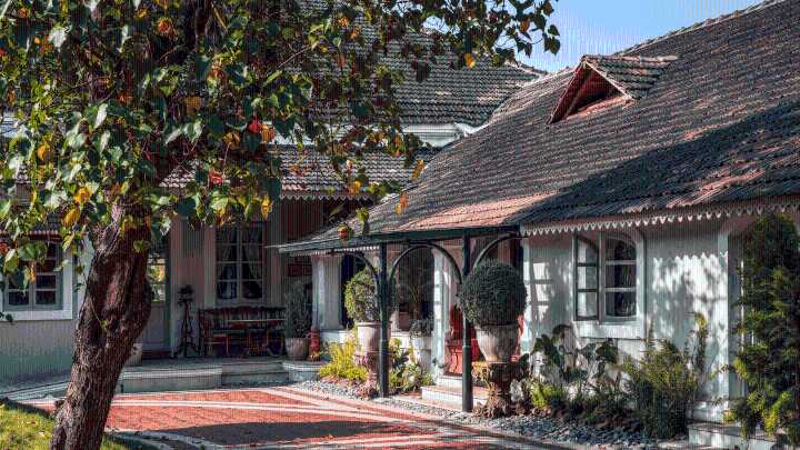 Best of 2025: 10 gorgeous homes in Goa you’d move into in a heartbeat