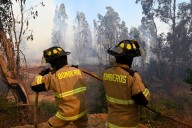 Senapred solicitan evacuar varios sectores de Las Cabras por incendio forestal: activan alerta SAE