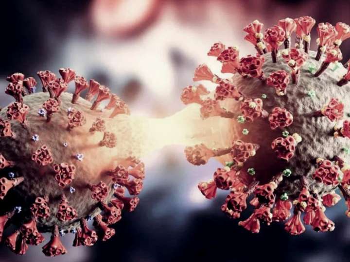 Salud Pública reporta cuatro casos de Covid