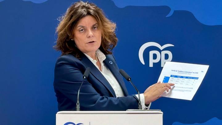 El PP alerta del «absoluto caos» en contratación de Derechos Sociales, con un sistema de impagos «normalizado»
