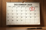 Solidaridad. Hoy se celebra el Día Internacional de los Voluntarios