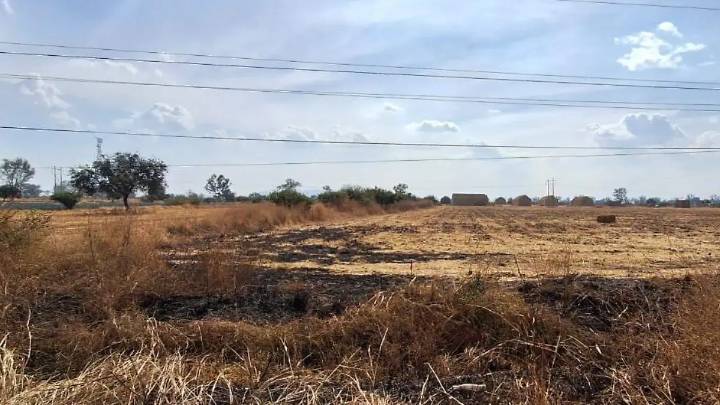 Disminuyen quemas de esquilmo en Cuerámaro gracias a conciencia ambiental y aprovechamiento comercial
