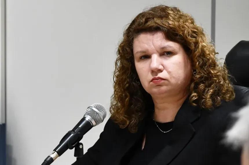 Un condenado a 9 meses de cárcel por robos en Santa Rosa