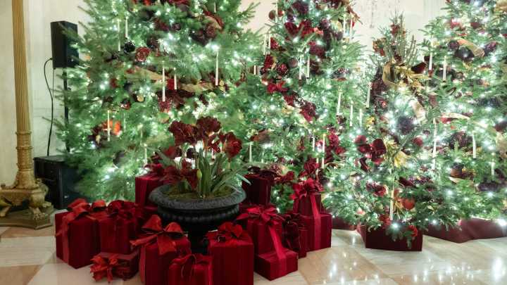 Melania Trump theme, photos of White House Christmas decorations