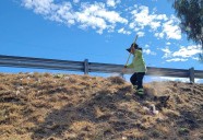 ‘Aquí Andamos’ atiende Lomas de Lourdes y espacios públicos del sur de Saltillo