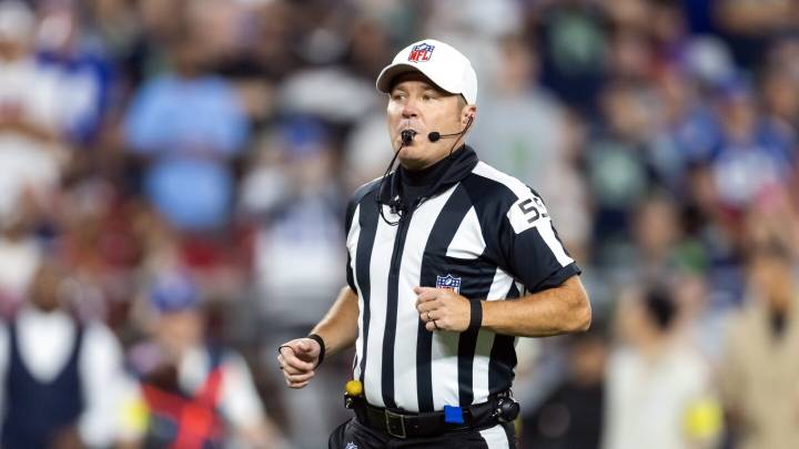 Bills-Steelers officials had an interesting day with post