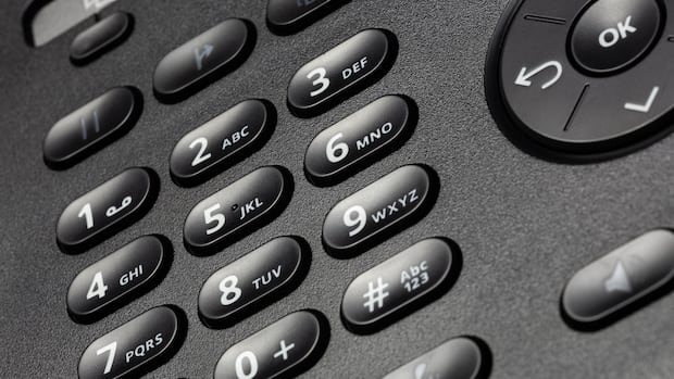 'That was my granddaughter's voice': Senior suspects scammers used AI in Regina, Saskatoon