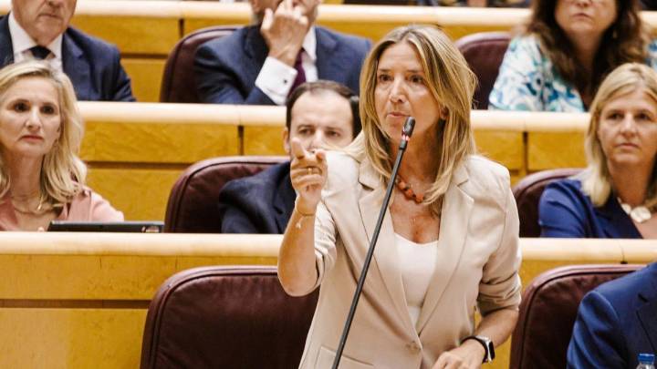 El PP activa en el Senado el décimo conflicto de atribuciones contra el Gobierno y el Congreso por la Ley de Movilidad