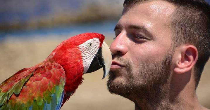 Breakdown-truck dad, 23, crushed by own vehicle while helping stranded driver