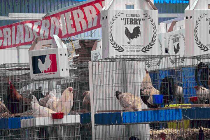 Pese a críticas, el Mega Derby Intercontinental arranca en Pachuca