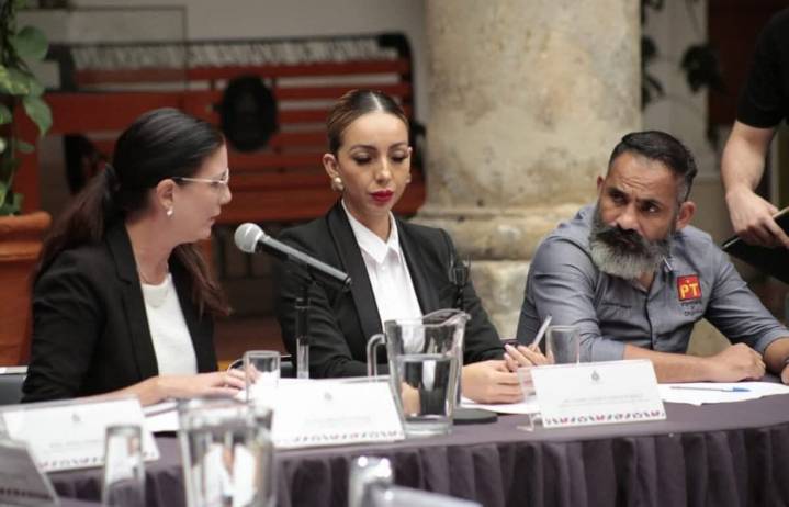 La secretaria de Medio Ambiente defiende el programa Verificación Responsable ante diputados