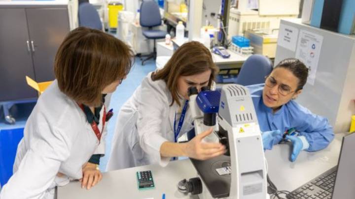 La Universidad de Navarra coloca a 53 científicos entre los más influyentes del mundo