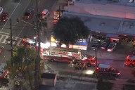 Tree Trimmer Fatally Impaled by Iron Fence After Falling 35 Feet