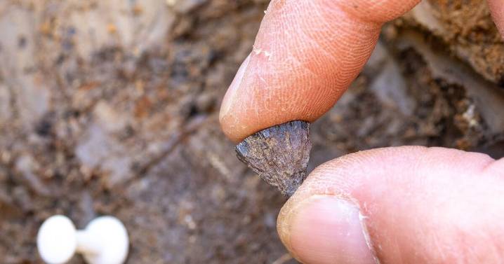 UK archeologists make stunning discovery to rewrite human history