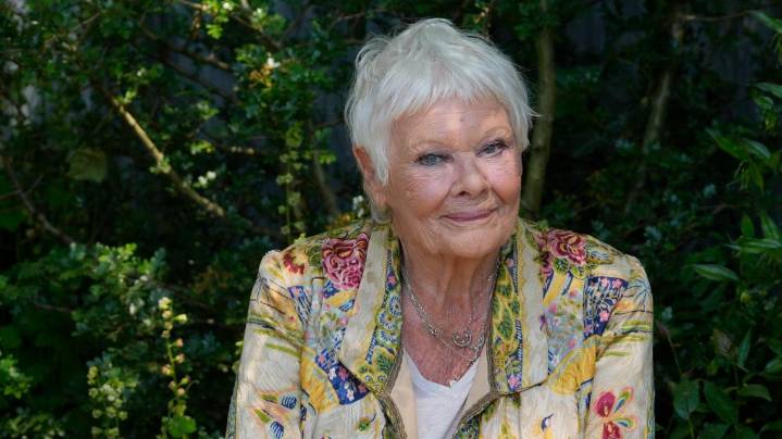 Judi Dench says vision loss now prevents her from recognizing people: 'I can’t see anymore'