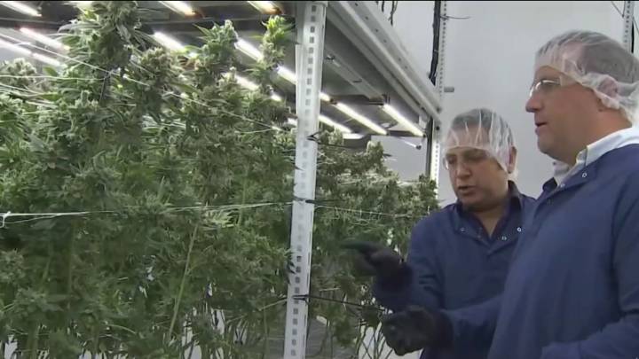 Virginia lawmakers share plan for recreational cannabis shops