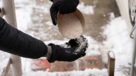 Why You May Want To Reconsider Using De-Icing Salt On Your Deck
