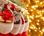 Attorney General Lynn Fitch Shares Tips to Avoid Holiday Shopping Scams