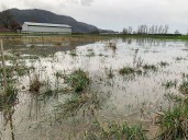 B.C. flooding: Abbotsford evacuation order expanded to 400 properties, 1,800 on alert