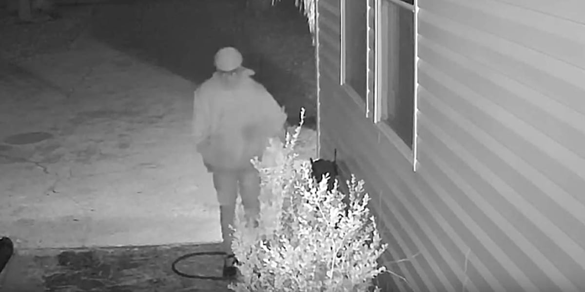 Georgetown County deputies searching for suspect in home break