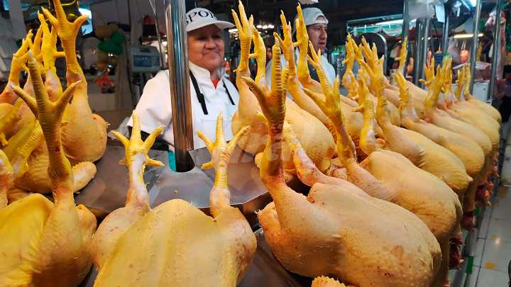 Precio del pollo empieza a subir en mercados de Arequipa por falta de stock