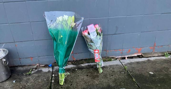 Woman, 81, killed in hit-and-run: what you need to know