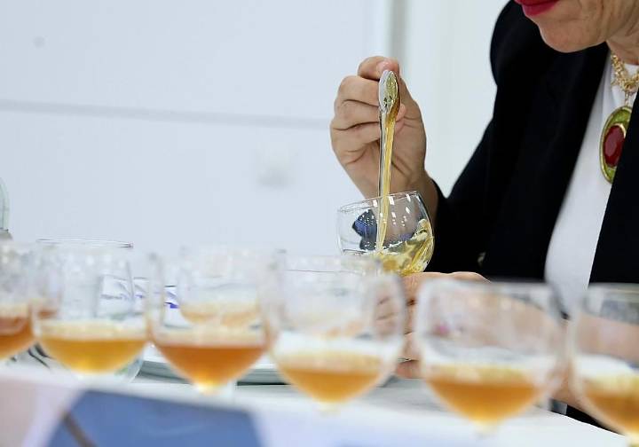 76 muestras de 63 apicultores quieren ser la Mejor Miel de Gran Canaria de 2025