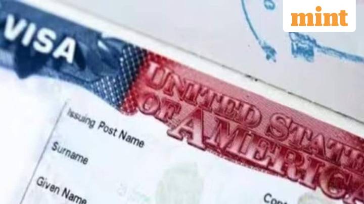 LinkedIn could now deny you US visa: Inside Trump’s new H