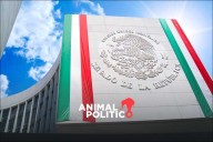 Avanza en el Senado lista de 10 aspirantes a la FGR; Ernestina Godoy figura entre los seleccionados