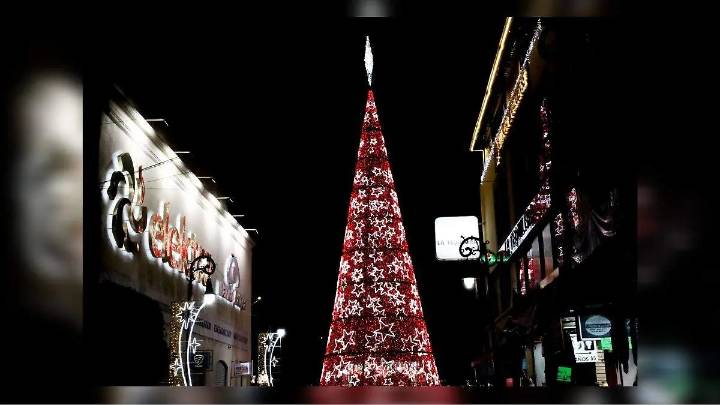 Navidad en Tulancingo: Realizan el tradicional encendido del árbol