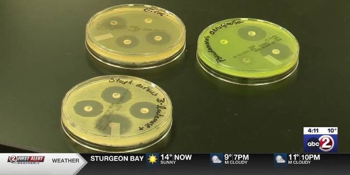 Tiny Earth hopes to combat antibiotic resistant bacteria