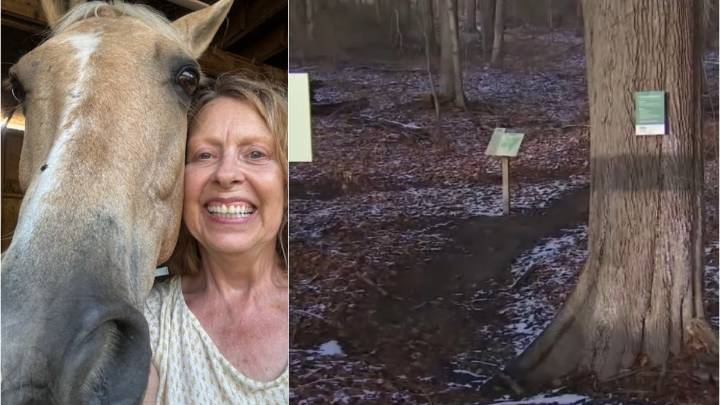 Woman injured, horse killed in Ipswich trail incident