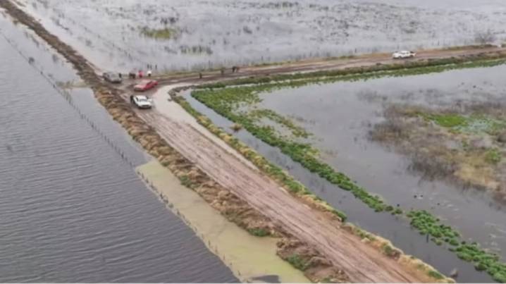 El Gobierno nacional declaró la emergencia agropecuaria en amplias zonas bonaerenses