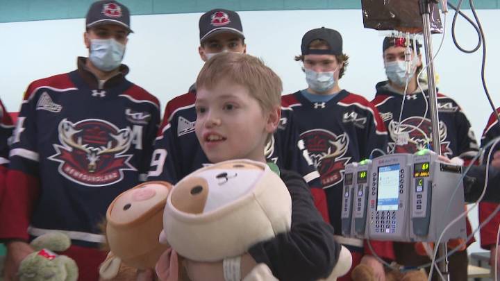 Teddy Bears Toss(ed) at Newfoundland Regiment game lands at the Janeway