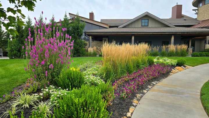 9 Everyday Habits For A Clean & Maintained Garden
