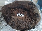 Pompeya revela que los esclavos podían alimentarse mejor que muchos ciudadanos libres