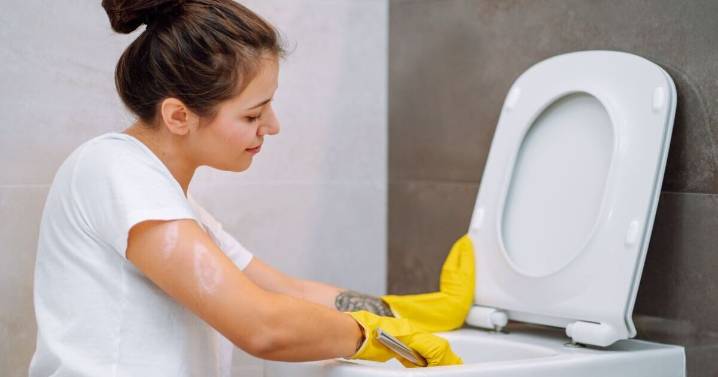 Rust and limescale will disappear from your toilet with one natural cleaning item