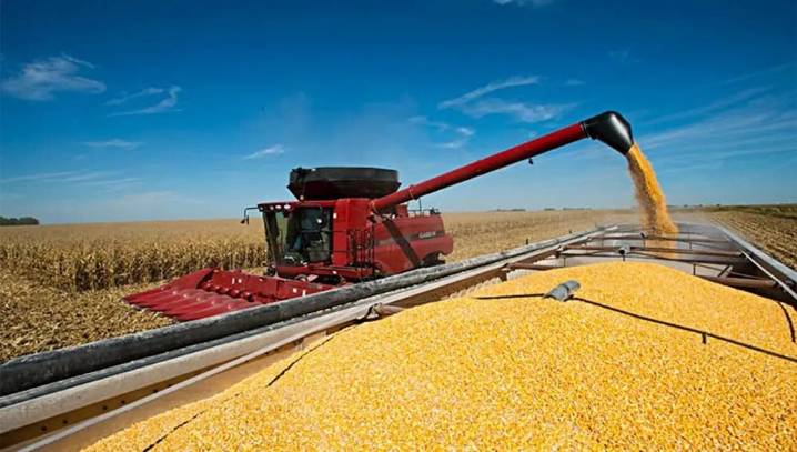 El Gobierno confirmó una nueva baja en las retenciones para exportar soja, trigo, maíz y girasol