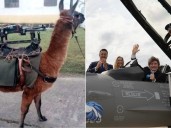 Santilli celebró la llegada de los F-16 con un irónico mensaje contra el kirchnerismo: "Pasamos de incorporar llamas metralletas a aviones de combate"