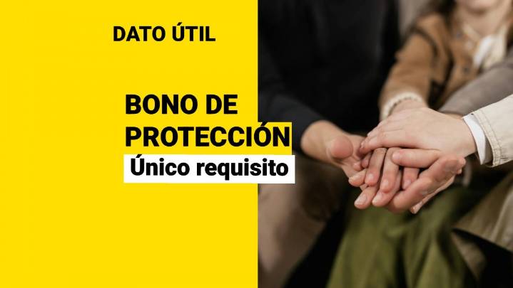 Bono de Protección: El único requisito que debes cumplir para recibirlo